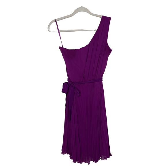 The Limited Purple One Shoulder Chiffon Party Dress W/ Pleated Skirt 8 - Picture 1 of 9